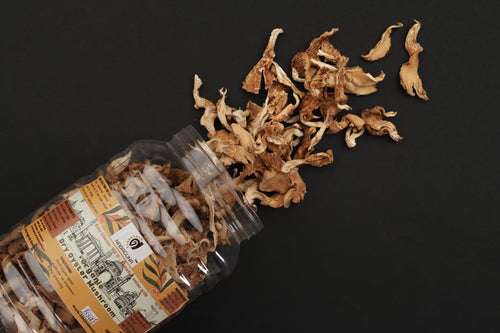 NABAGUNA Dry Oyster Mushroom