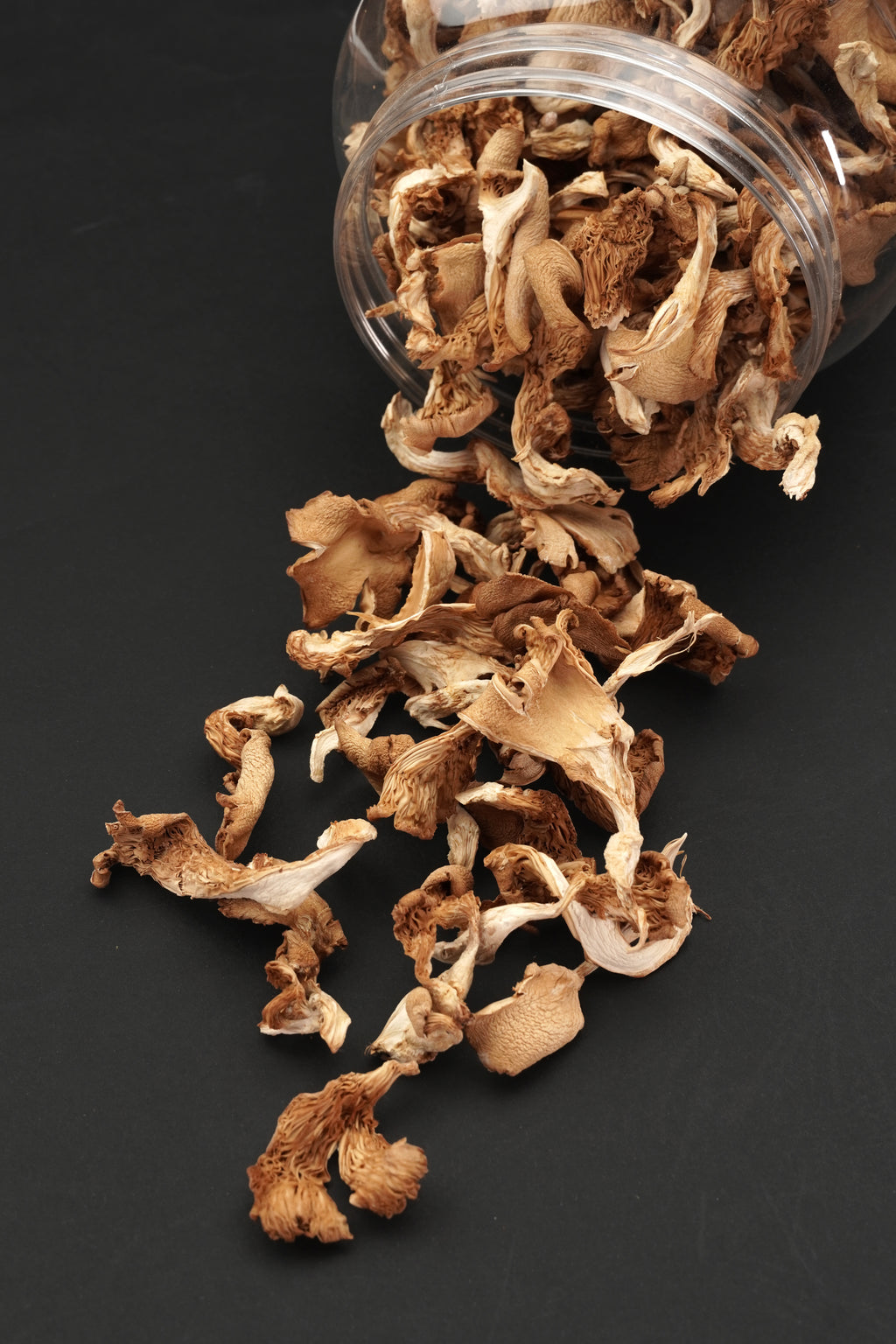 NABAGUNA Dry Oyster Mushroom