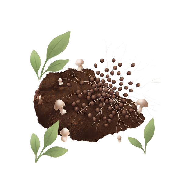 Decorative element