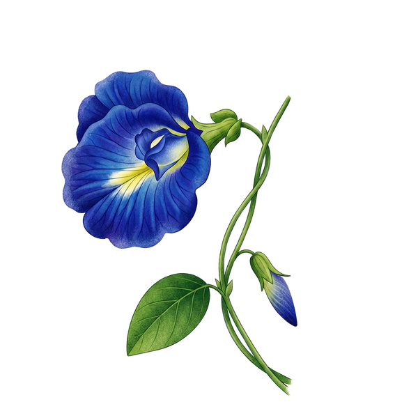 Decorative element